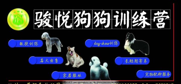 骏悦狗狗训练营图片