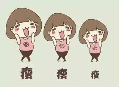 狗狗训练营减肥方法推荐