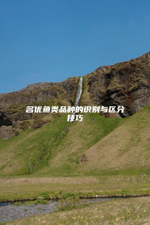名优鱼类品种的识别与区分技巧