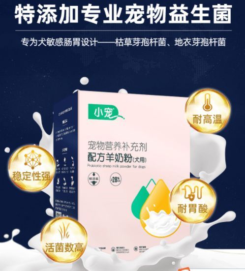 小猫益生菌食用指南,守护健康小宠