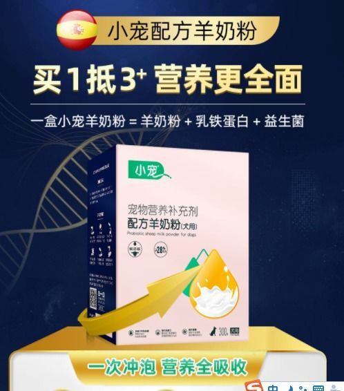 小猫益生菌食用指南,守护健康小宠