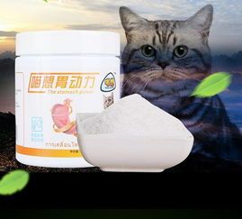 猫吐猫粮可能是消化不良，调整饮食结构可缓解。