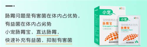 肠胃宝的作用是什么 肠胃宝怎么喂给狗狗