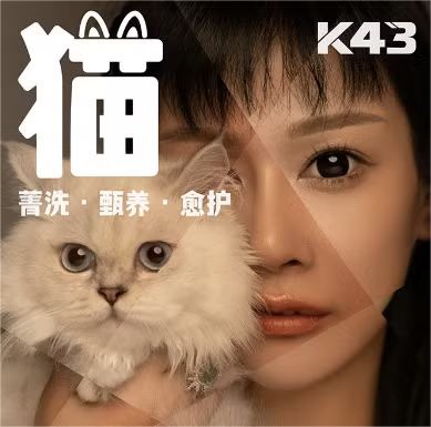【K43十二期猫课】第四期无毛结构品种猫疗愈洗护教程