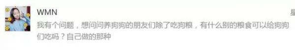 自制狗饭：美味的狗狗“生日蛋糕”