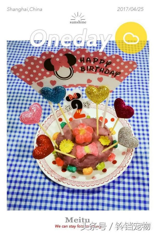 你会这样为你的狗狗准备生日宴吗