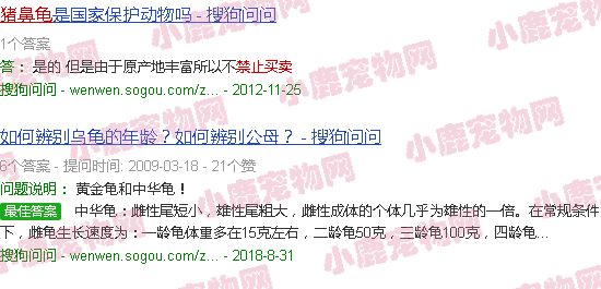 猪鼻龟什么时候禁止买卖的