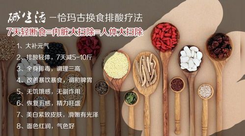 精选食材,科学配比,匠心烹饪,营养均衡。