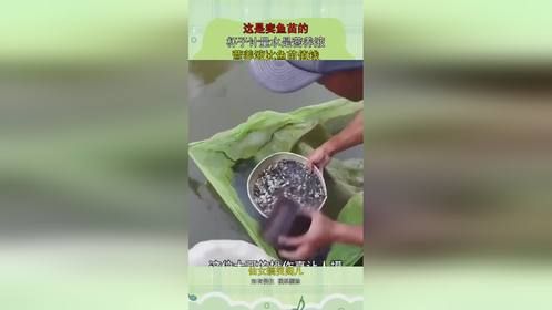 这是卖鱼苗的，杯子计量水是营养液，营养液比鱼苗值钱！