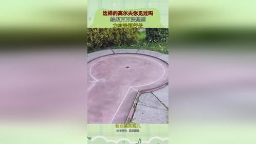 这样的高尔夫你见过吗，结果万万没想到，力度恰到好处