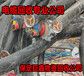 信阳电缆回收价格