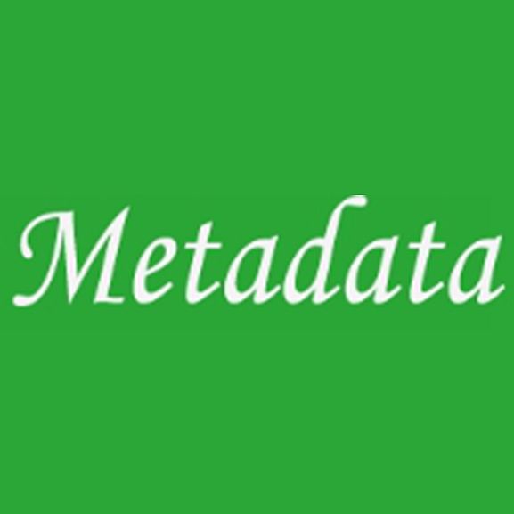 メタデータ株式会社