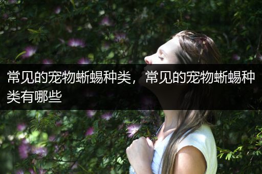 常见的宠物蜥蜴种类，常见的宠物蜥蜴种类有哪些
