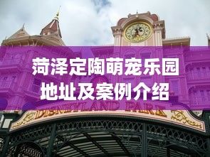 菏泽定陶萌宠乐园地址及案例介绍