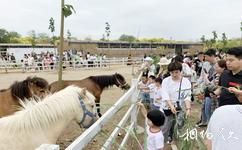 惠民鑫诚田园生态旅游攻略之萌宠乐园
