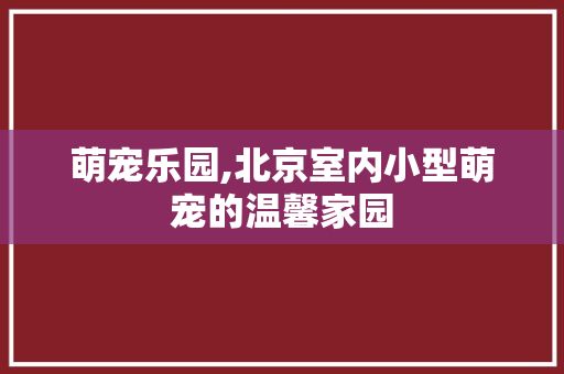 萌宠乐园,北京室内小型萌宠的温馨家园