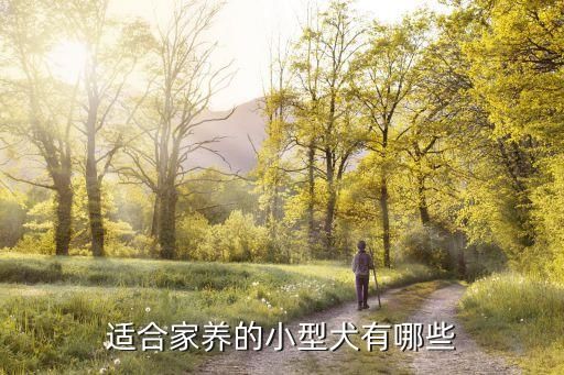 适合家养的小型犬有哪些