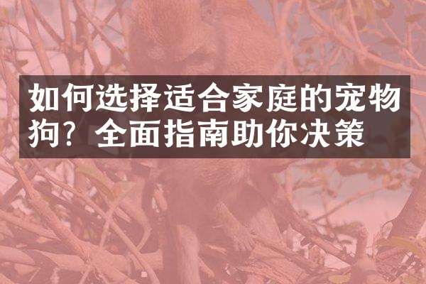 如何选择适合家庭的宠物狗？全面指南助你决策