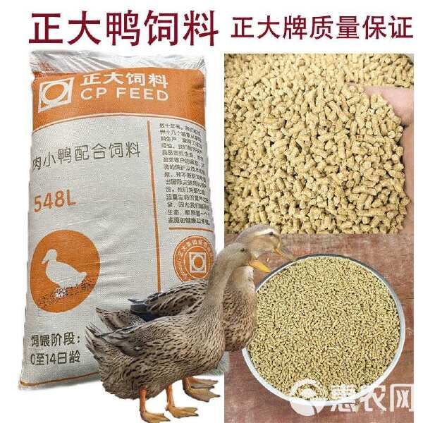 正大小鸭粮饲料正大宠物鸭柯尔鸭子颗粒饲料开口料钓鱼打窝鸭饲料