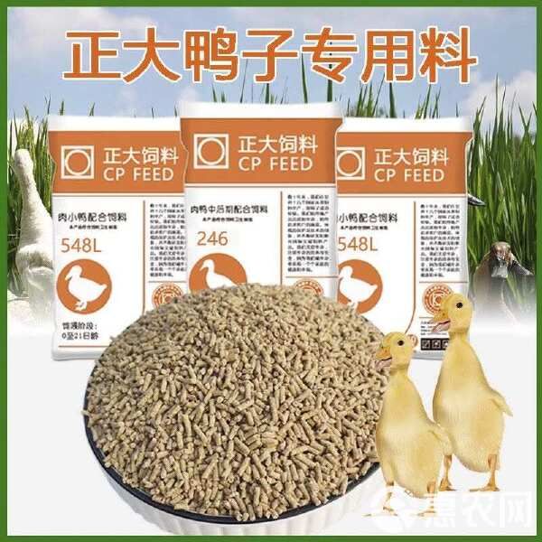 正大小鸭粮饲料正大宠物鸭柯尔鸭子颗粒饲料开口料钓鱼打窝鸭饲料