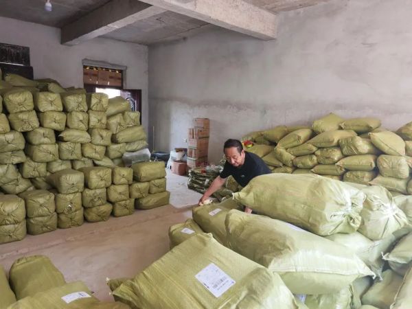 7月17日,工作人员打包猫尾草快递。新华社记者 刘克英 摄