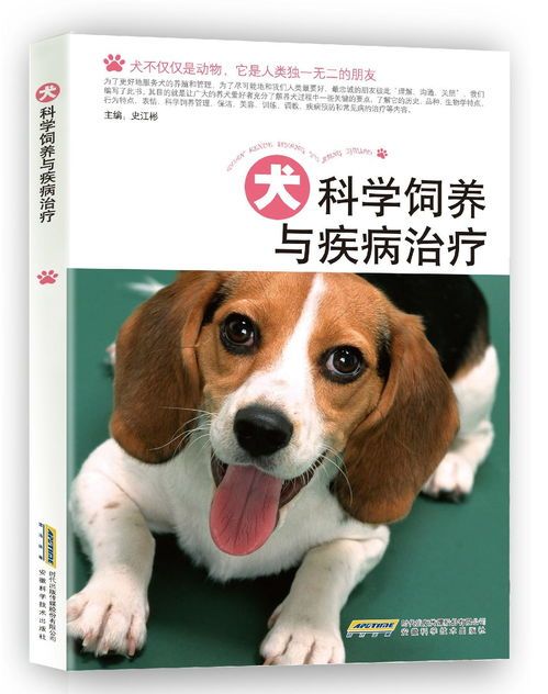 科学喂养可蒙犬,饮食运动如何搭配?