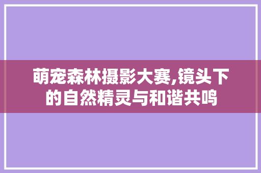 萌宠森林摄影大赛,镜头下的自然精灵与和谐共鸣
