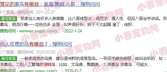常见的宠物鸟有哪些
