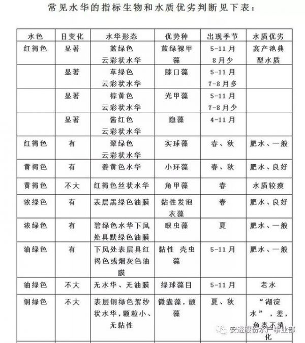 鱼类养殖基础知识汇编，干货满满！