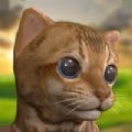 我可爱的小猫宠物