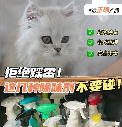 这些宠物没有任何味道，你喜欢哪一个？（宠物的清香，从这些无味道的小生物开始）