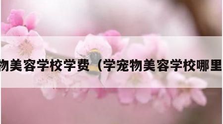 宠物美容学校学费（学宠物美容学校哪里好）