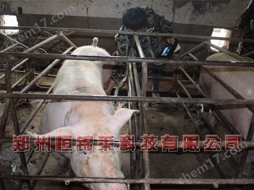 兽用B超机便携式价格