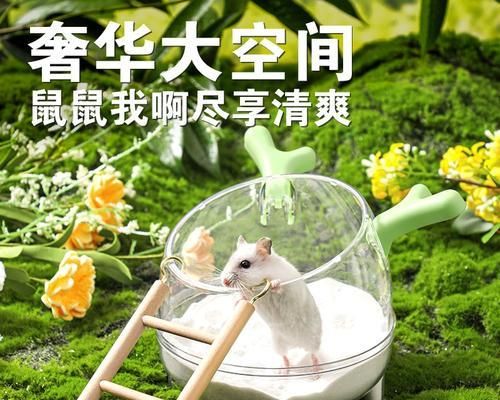 仓鼠洗澡的正确方法（选择适宜的沙子，让仓鼠健康洁净）