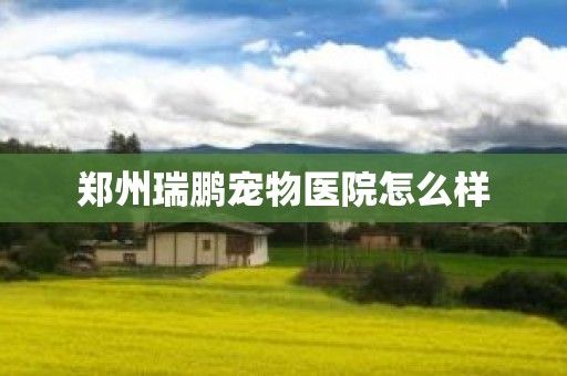 郑州瑞鹏宠物医院怎么样