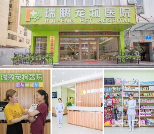 瑞鹏宠物医院加盟