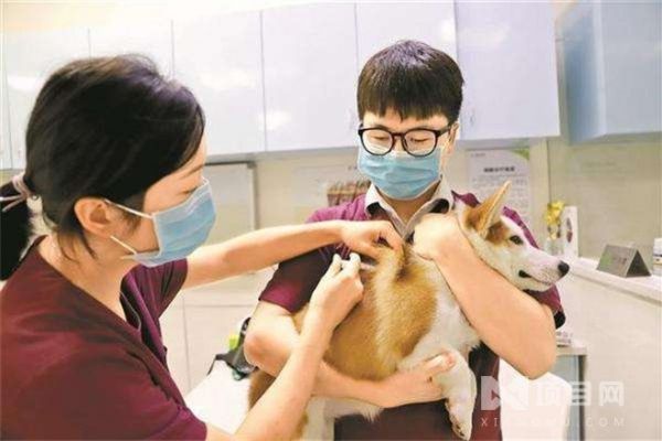瑞鹏宠物医院加盟