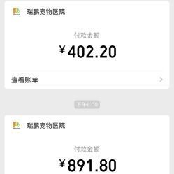 瑞鹏宠物医院怎么样？宠物医院选择指南