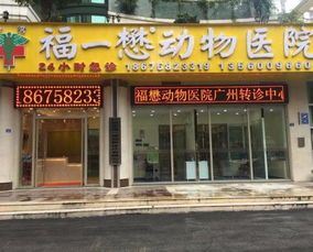 深圳哪家宠物医院比较好?