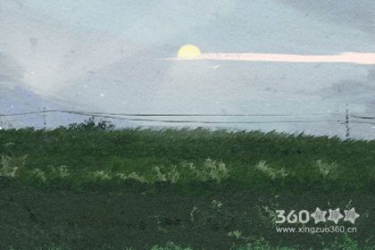 小狗取什么名字好听 宠物名字大全