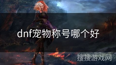dnf宠物称号哪个好