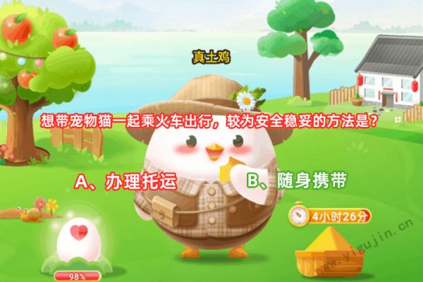 想带宠物猫一起乘火车出行较为安全稳妥的方法是什么？ - 第1张 - 懿古今(www.yigujin.cn)