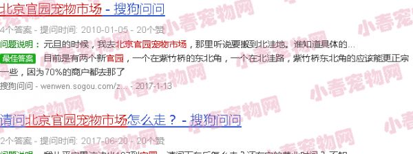 北京官园宠物市场买猫