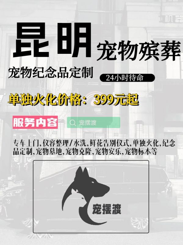 昆明宠物丧葬：如何处理宠物的遗体告别仪式