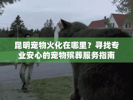 昆明宠物火化在哪里？寻找专业安心的宠物殡葬服务指南