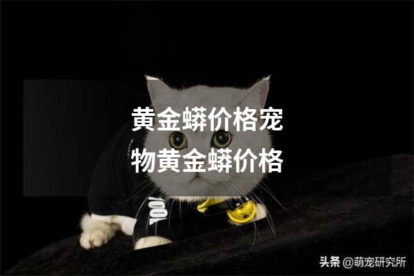 黄金蟒价格宠物黄金蟒价格
