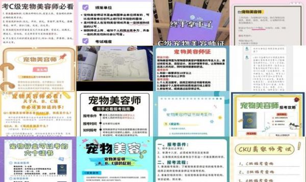 c级宠物美容师考试内容