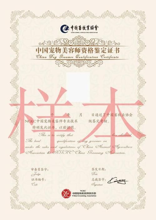 宠物美容c级怎么考怎么通过（宠物美容c级考试的内容）