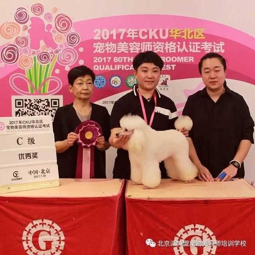 宠物美容c级怎么考怎么通过（宠物美容c级考试的内容）