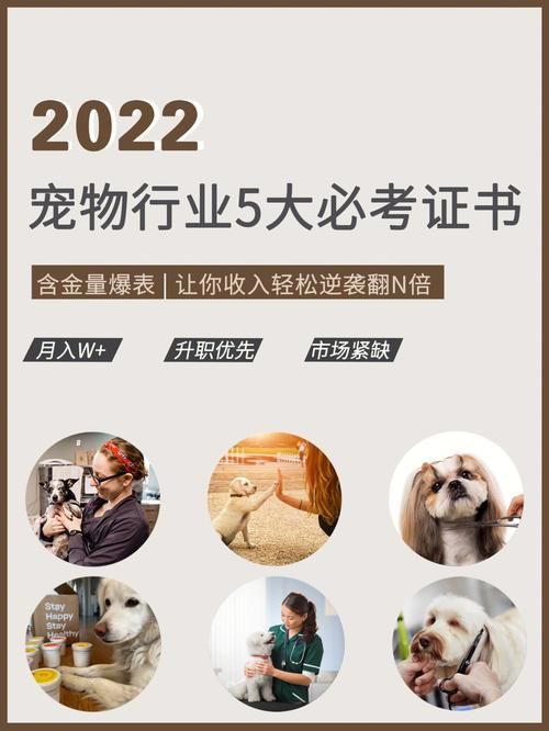 宠物美容c级怎么考怎么通过（宠物美容c级考试的内容）